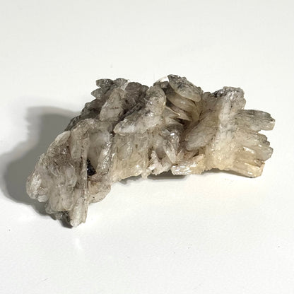 Barite with Pyrite