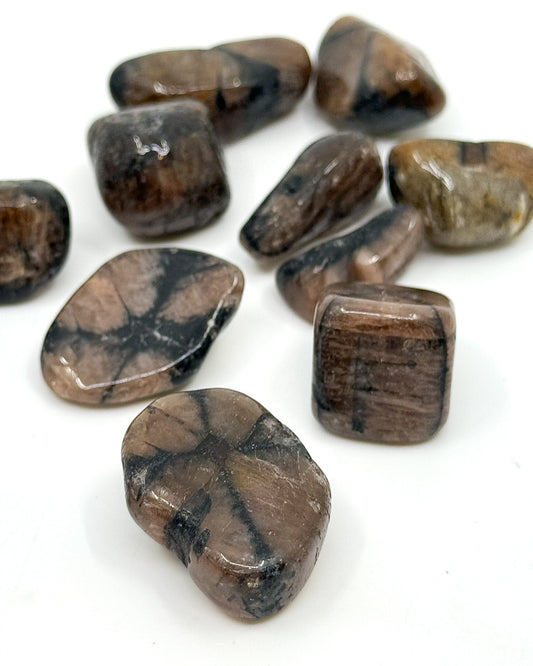 Chiastolite Tumbled Set - China