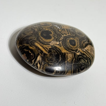 Stromatolite Palm Stone