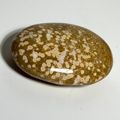 Ocean Jasper Palm Stone