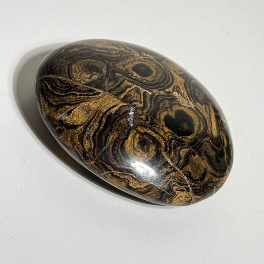 Stromatolite Palm Stone
