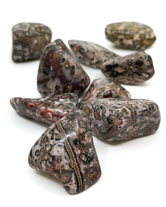 Leopard Skin Jasper Tumbled Set