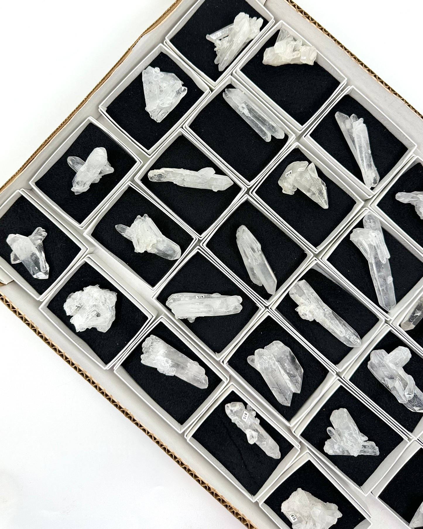 Clear Quartz Points Mineral Flat