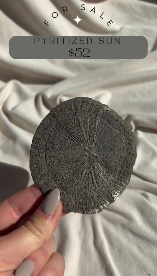 Pyrite Suns 52