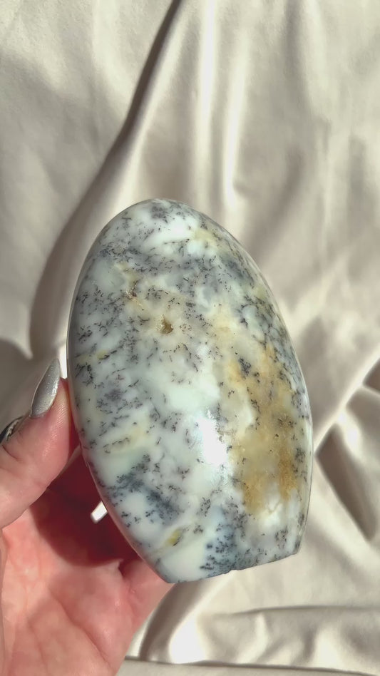 Dendritic Opal